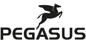 Pegasus ebikes
