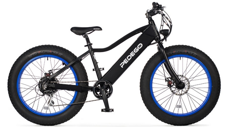 electric fat tire bike (Pedego)