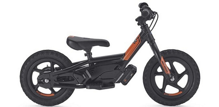electric kid's bike (Harley)