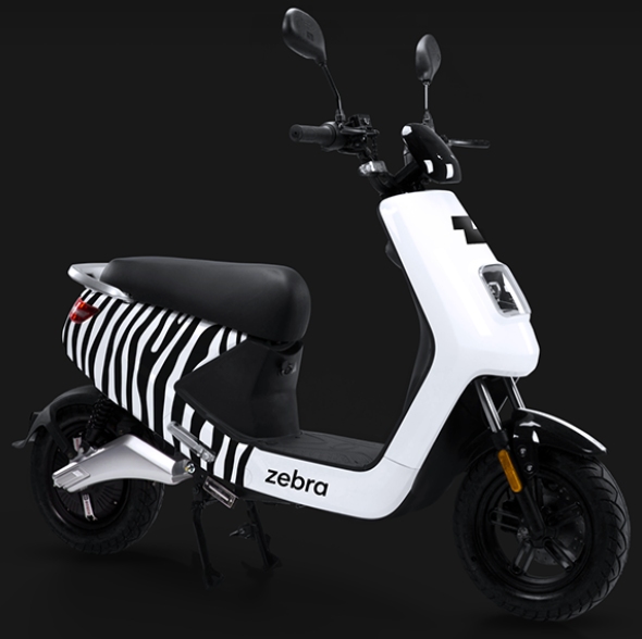Zebra moped scooters